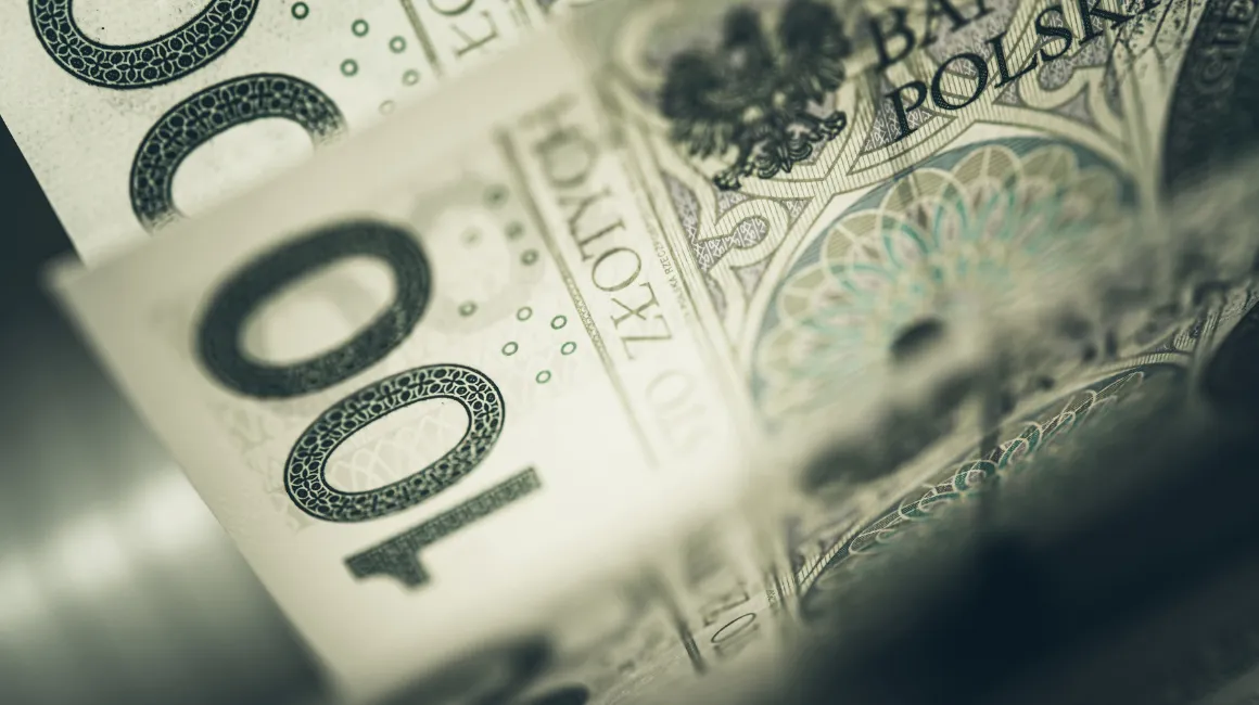 Stos polskich banknotów